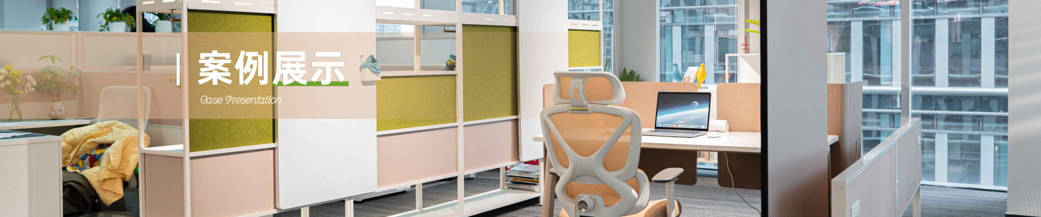 案例展示-1